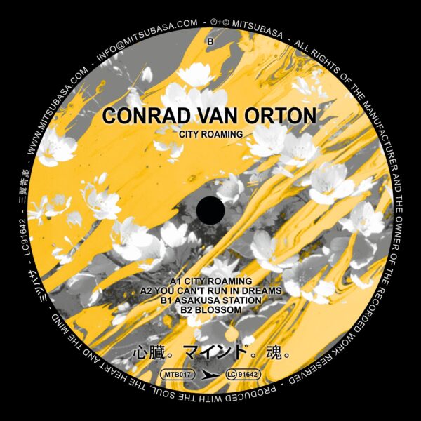 Conrad Van Orton - City Roaming EP - immagine 2
