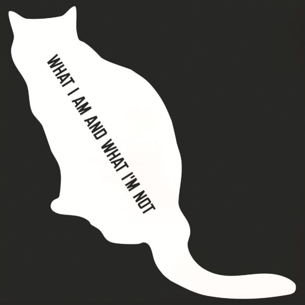 Sarter Kit - What I Am And What I'm Not - immagine 2